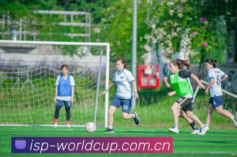 2026世界杯 APP界面展示