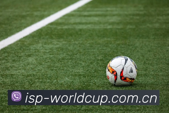 2026世界杯 App 界面展示